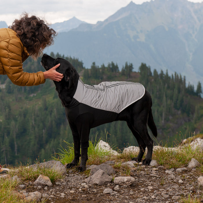 A human giving head pats to a black dog while they both stand on a rocky outcropping overlooking massive mountainous hills covered in forests. The dog is wearing a FurHaven Water Repellent Reflective Active Pro-Fit Dog Coat, from FurHaven Pet Products