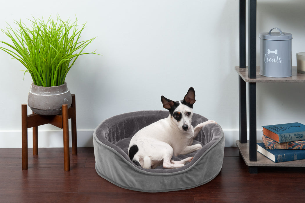 Oval Dog Bed - Plush & Velvet - Orthopedic
