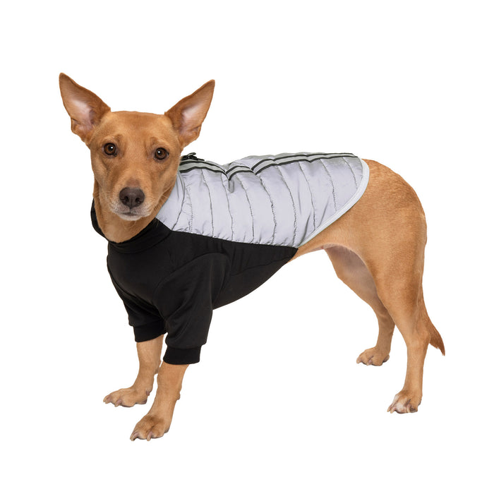 Water-Repellent Reflective Active Pro-Fit Dog Coat