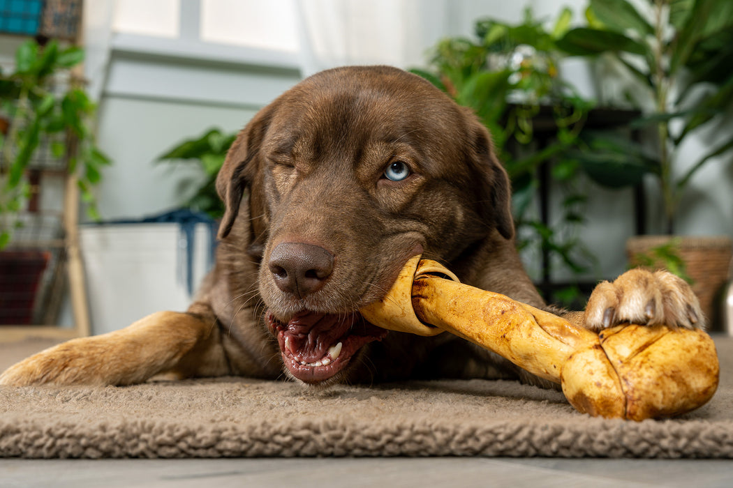 Pet Factory - American Beefhide Bone - Flavored Dog Treats