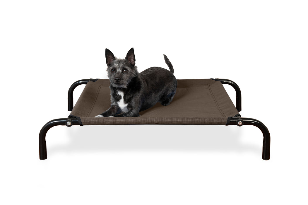Elevated Reinforced Cot Dog Bed