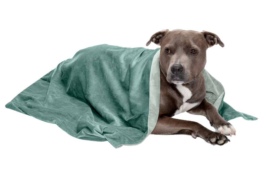 Waterproof Velvet Pet Throw Blanket