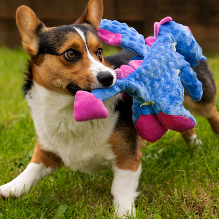 goDog - Dragons Squeaker Plush Pet Dog Toy