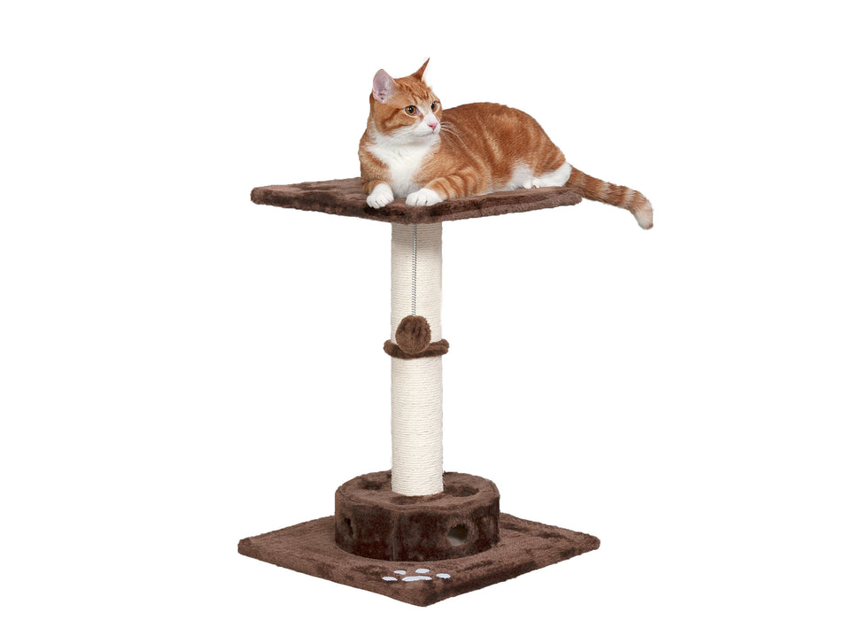 Scratching Post with Cat-IQ Busy Box