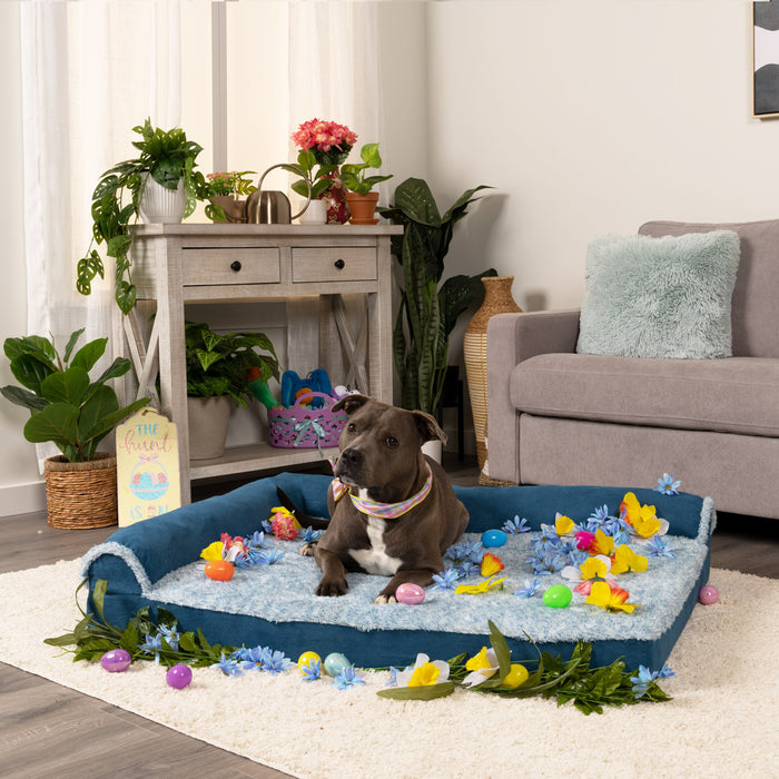 A dark gray dog with a white chest lying on a FurHaven bed, surrounded by rubber ducks, flowers, eggs, and other Easter related periphenalia, at FurHaven Pet Products