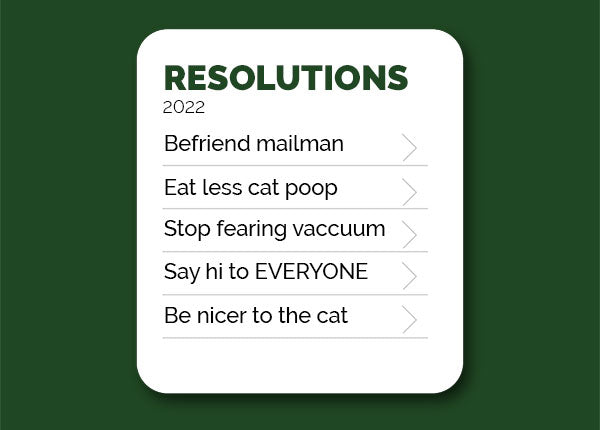 A dog's New Year Resolutions from FurHaven Pet Products