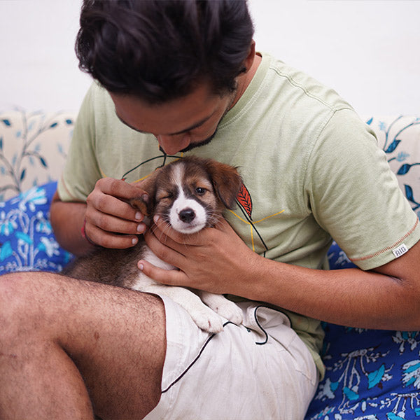 A human wearing a green shirt and white shorts holds a brown, white, and black puppy in their arms, from FurHaven Pet Products 