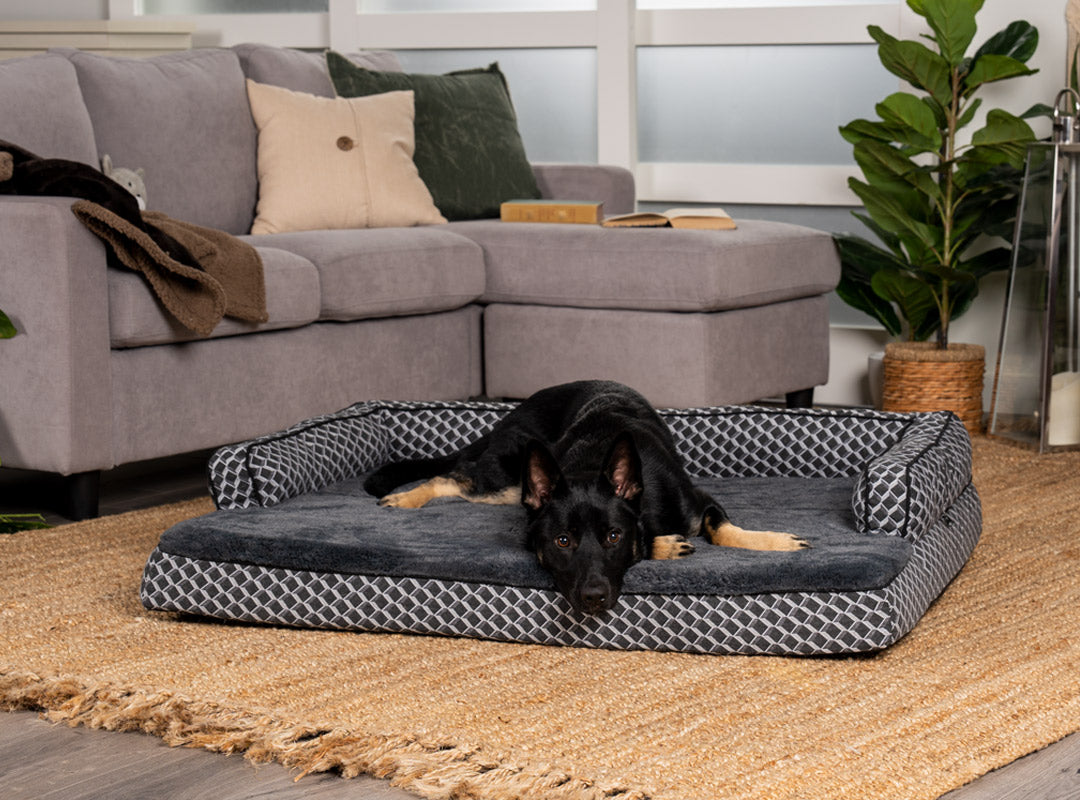 A black and brown dog lying on a gray dotted FurHaven Plush & Décor Comfy Couch