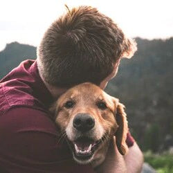 The Ultimate Pet Dad Day Guide