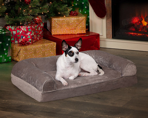 2019 FurHaven Holiday Pet Gift Guide