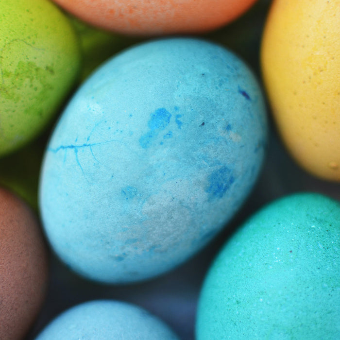 Colorful, painted Easter eggs in blue, orange, green, russet brown, and red, from FurHaven Pet Products