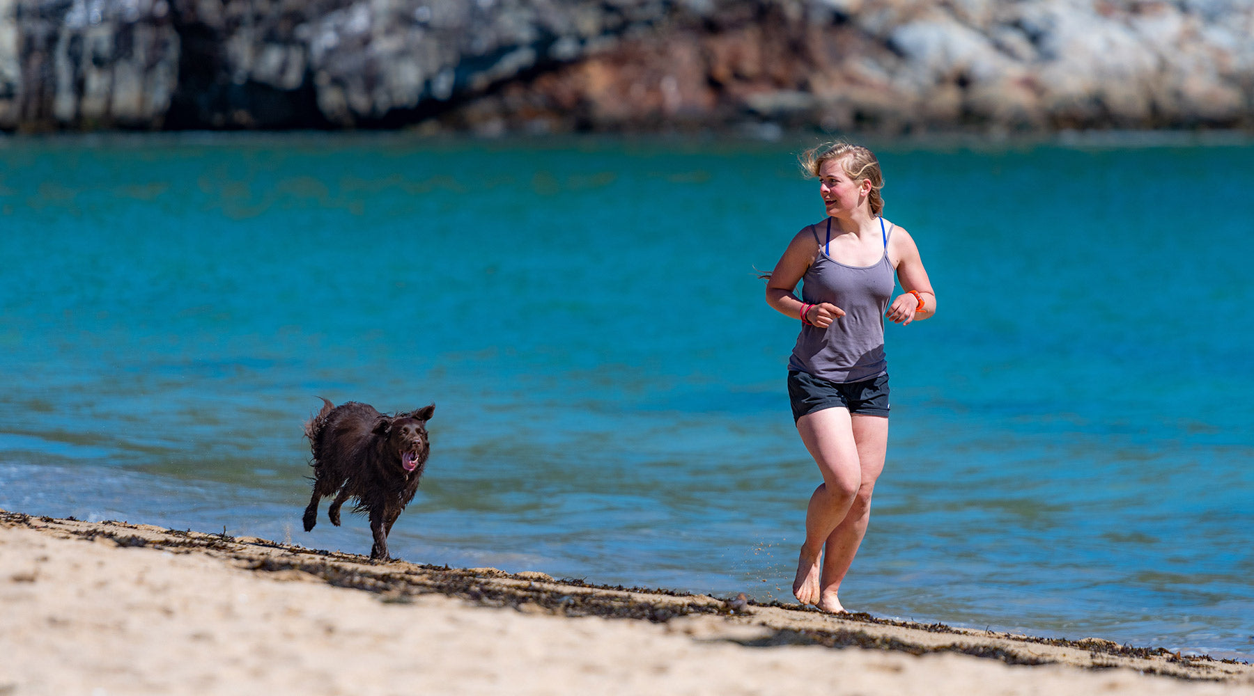A human and a dog run along a coastline, near the water on a beach. It is sunny and warm at FurHaven Pet Products