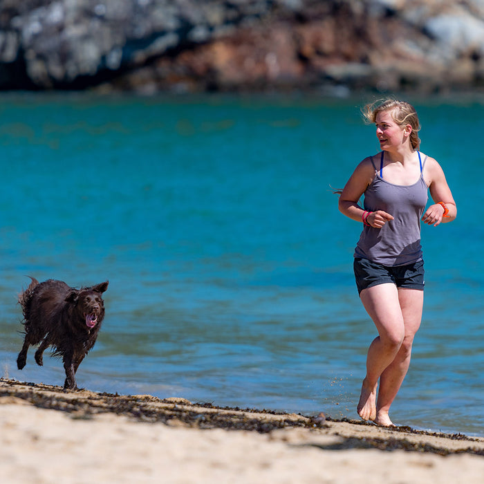 A human and a dog run along a coastline, near the water on a beach. It is sunny and warm at FurHaven Pet Products