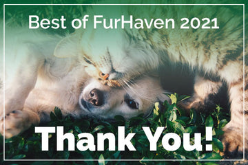 The Best of FurHaven 2021 - Thanks To YOU!