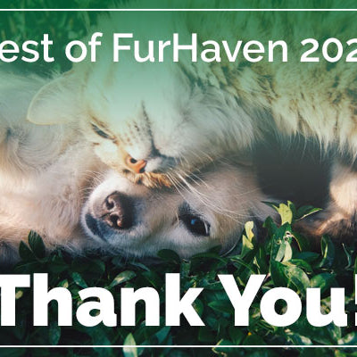 The Best of FurHaven 2021 - Thanks To YOU!