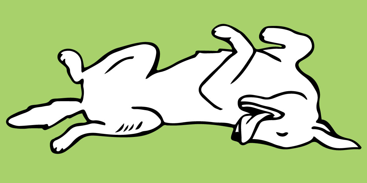 Sprawler Beds | FurHaven Pet Sleep Styles