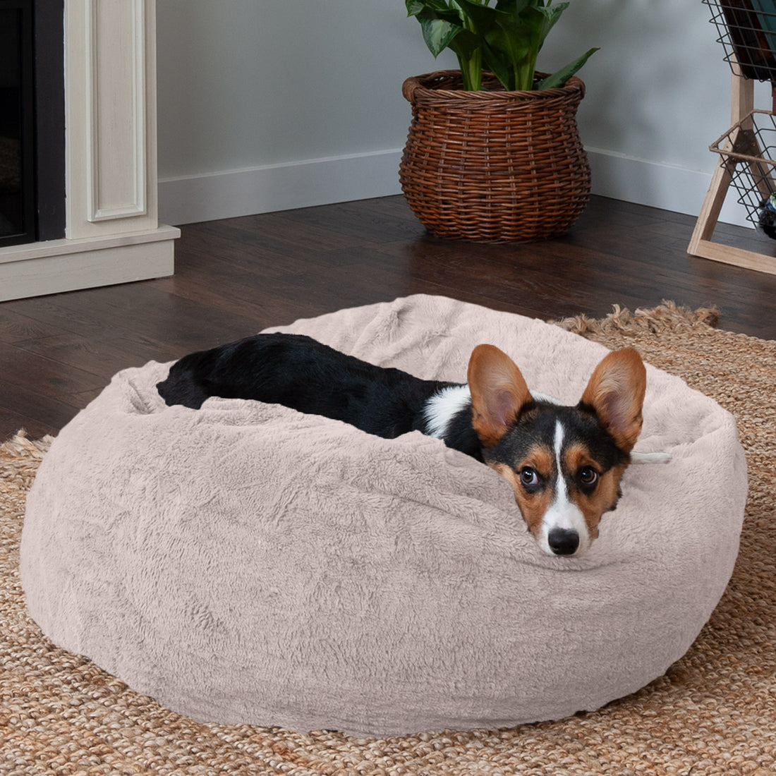 Plush Ball Dog Bed