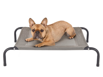 Water Resistant Elevated Pet Cot - Reinforced Mesh