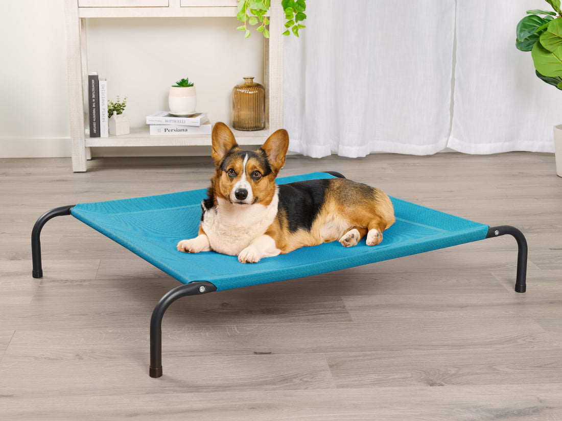 Water Resistant Elevated Pet Cot - Reinforced Mesh