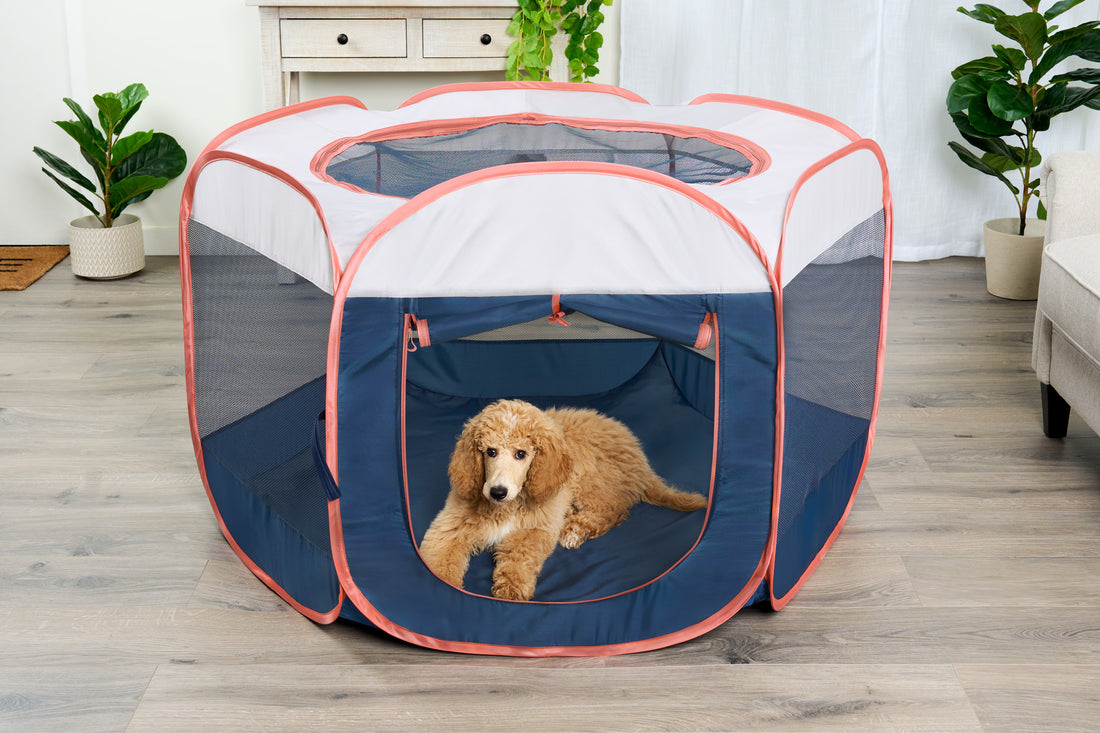 Portable Mesh Pet Playpen