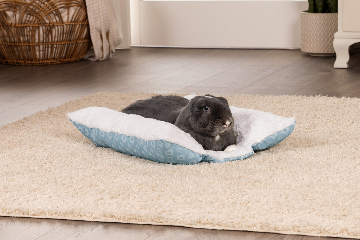 Dog and cat designer bed for small pet, reversible washable cushion