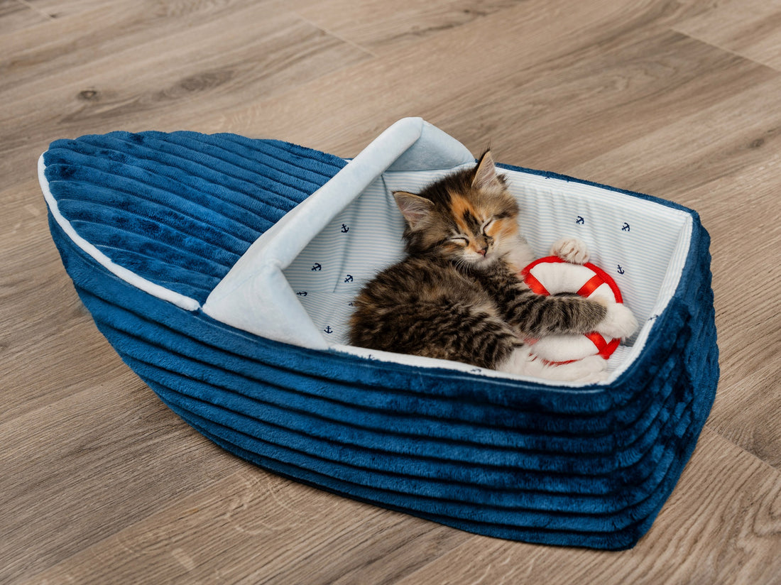 Corduroy Dreamer Boat Cat Bed