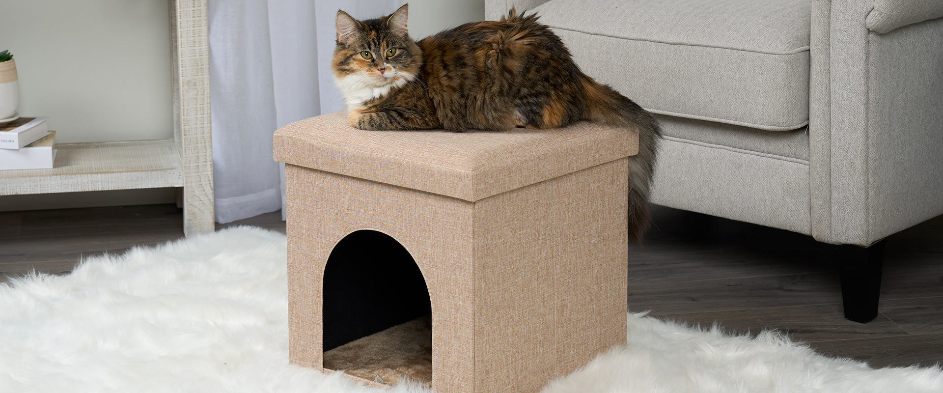 Sand Color Footstool with a young calico cat resting on top.