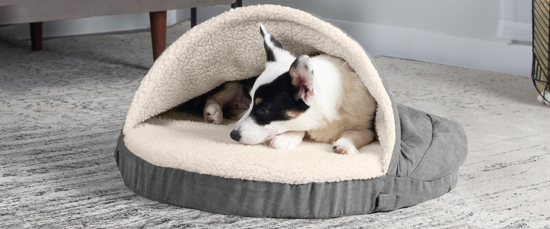 A black and white dog in a snuggery burrow dog bed that is white and grey at FurHaven Pet Products.