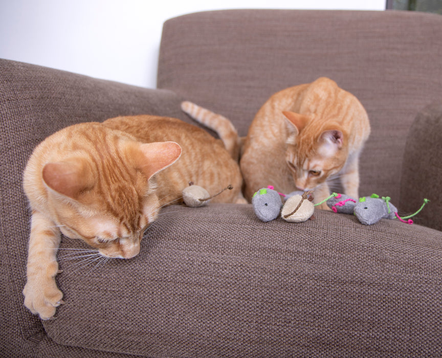 SmartyKat Skitter Critters (Set of 10) Value Pack Plush Catnip Cat Toys