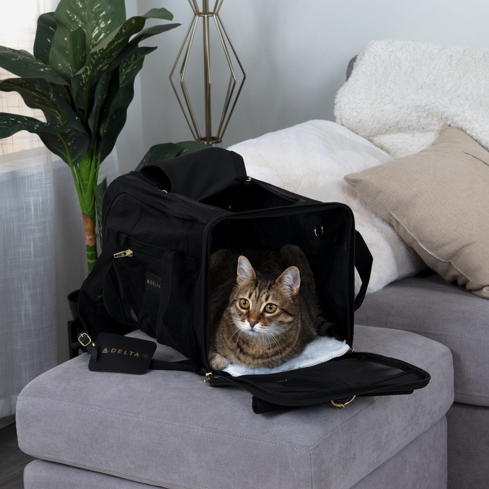 https://furhaven.com/cdn/shop/products/11721_Sherpa_Delta_Airlines_Pet_Carrier_MD_Grey_Lifestyle2_Square_2000x2000.jpg?v=1663601322