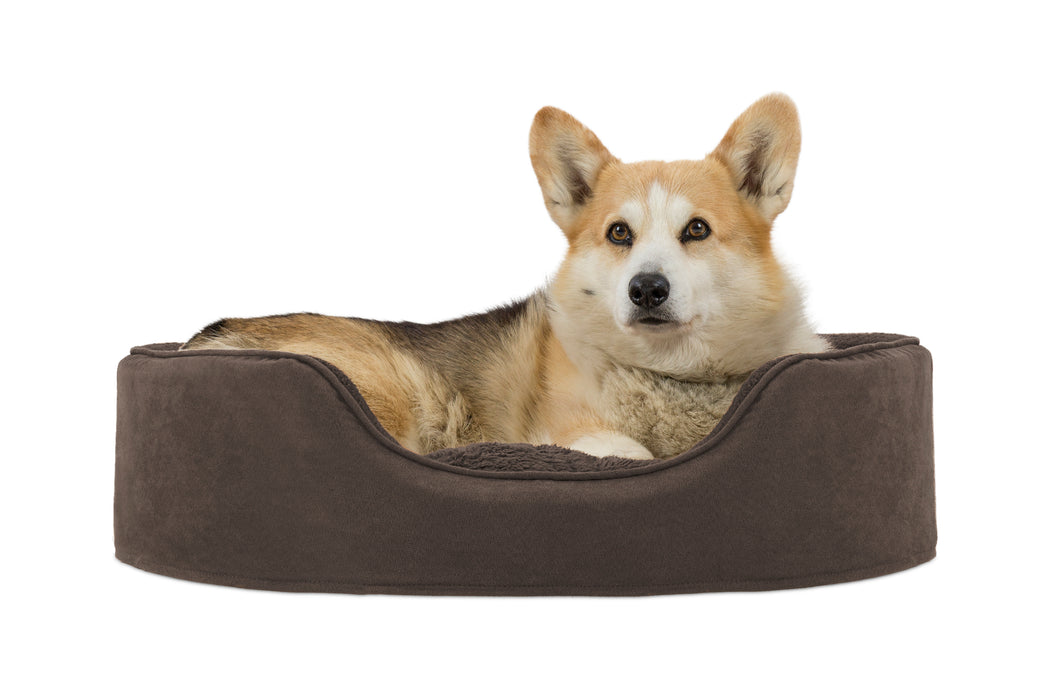 Oval Dog Bed - Snuggle Terry & Suede