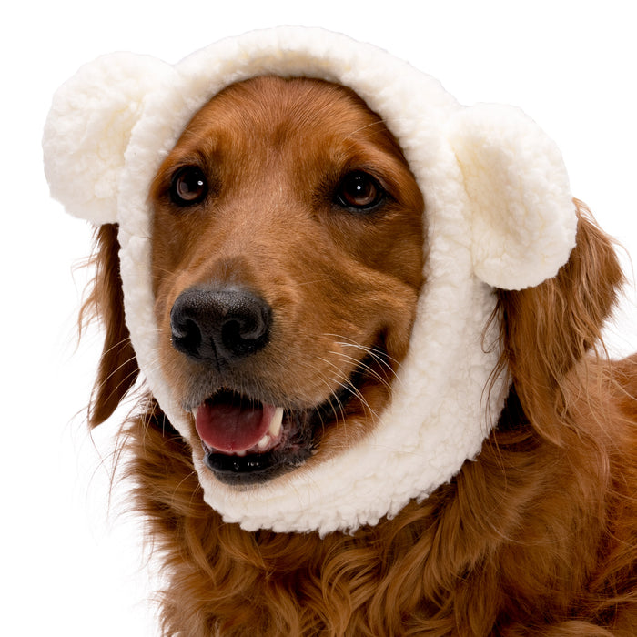 Flex-Fit Costume Hat (Coordinates with Flex-Fit Reversible Dog Coat)
