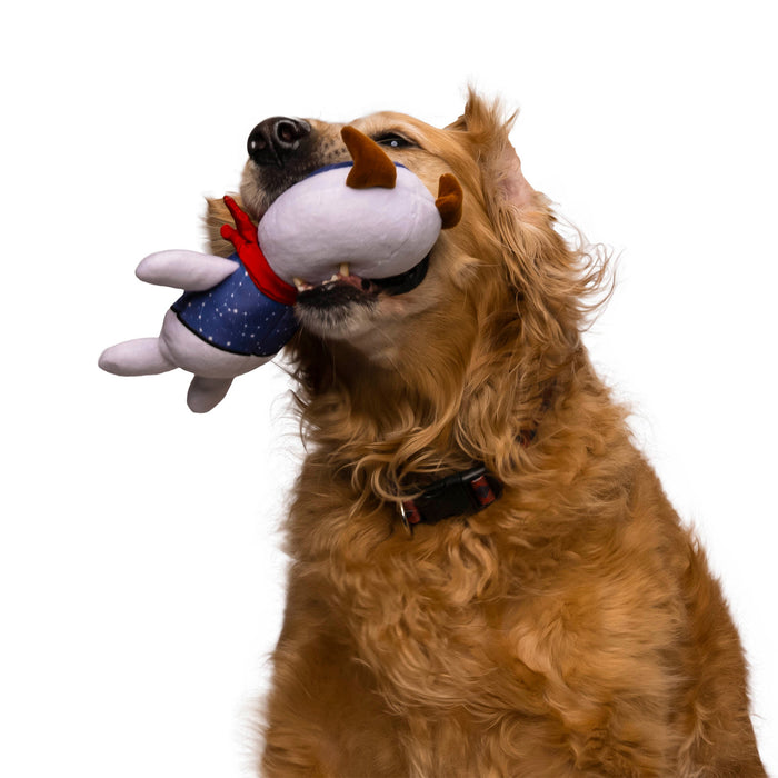 Dapper Dandies Plush Dog Toy Set - Galactic Collection (2PK)