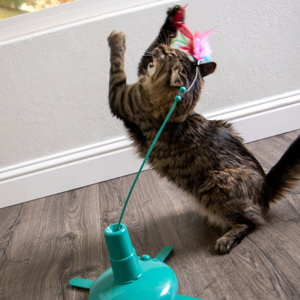 SmartyKat - Loco Motion Electronic Motion Wand Toy for Cats
