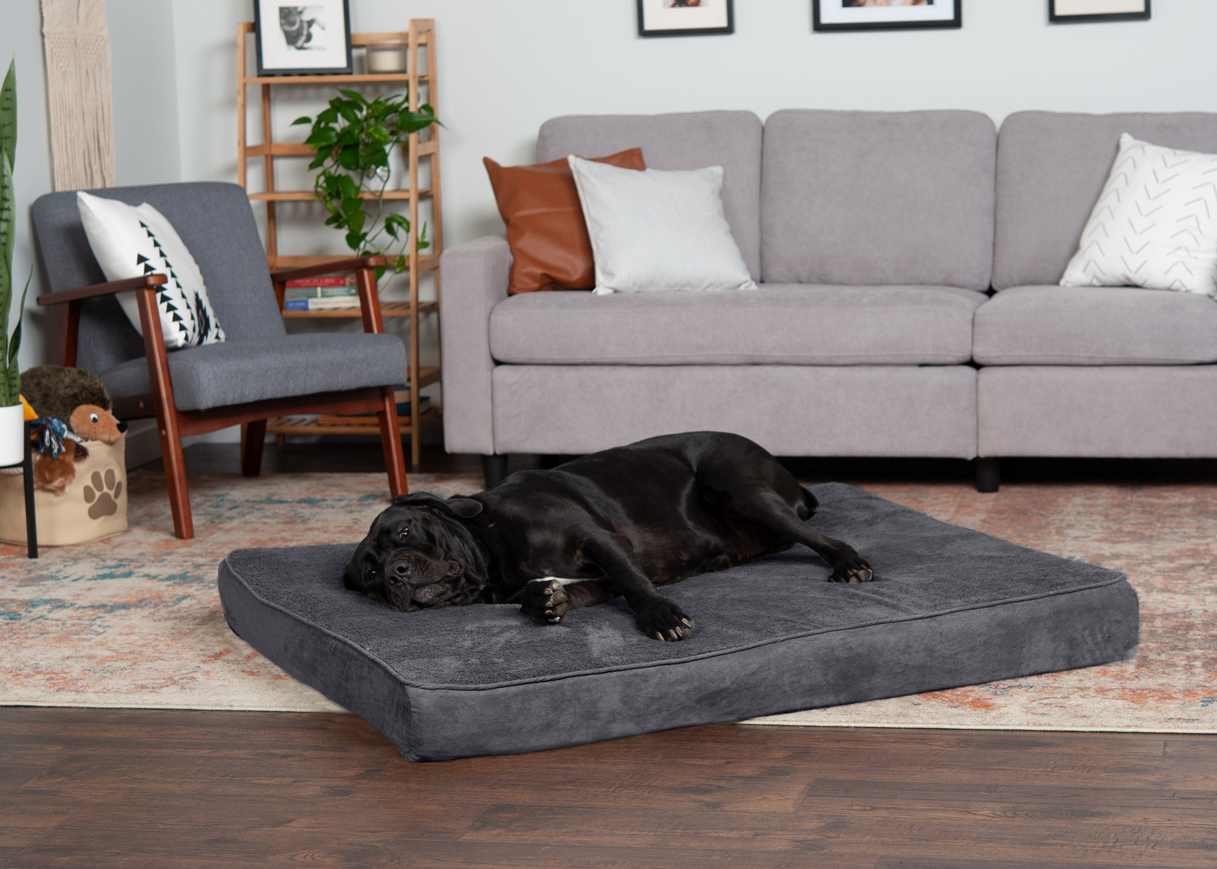Deluxe Mattress Dog Bed - Indoor/Outdoor Oxford