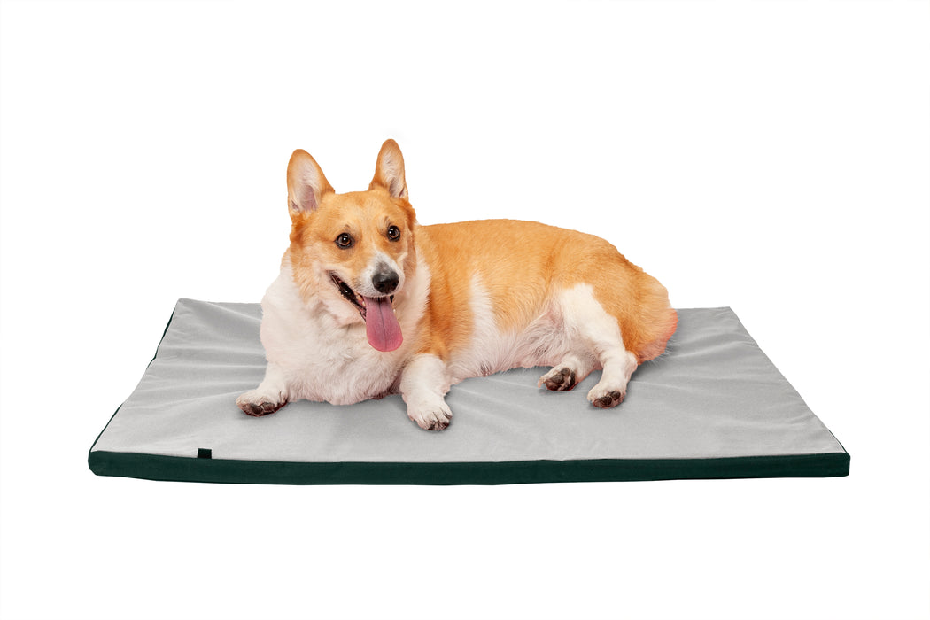 Water-Resistant Kennel Pad for Crates & Kennels