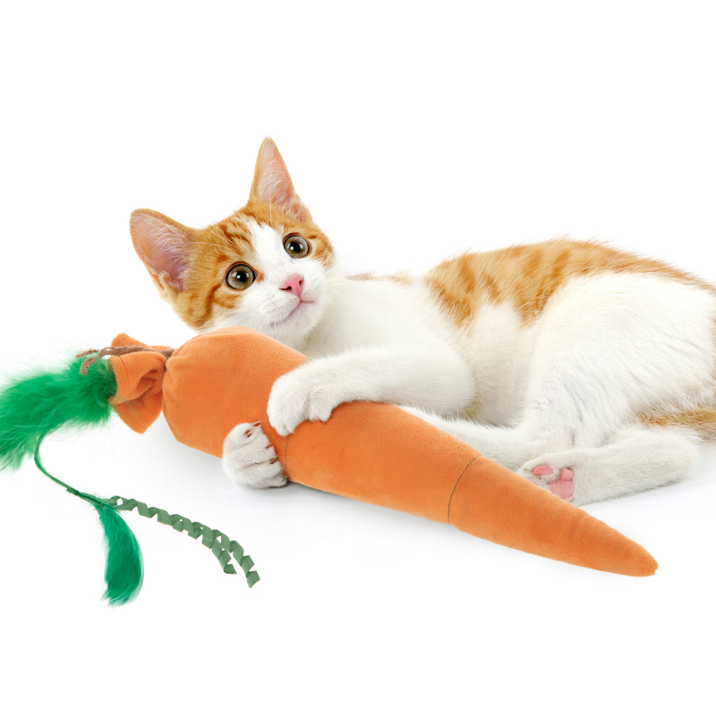 ZippyPaws ZippyClaws Kickerz Carrot Cat Toy