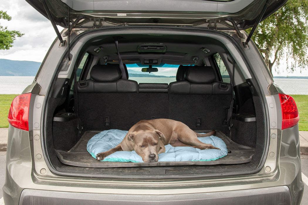 Trail Pup Packable Pet Pillow