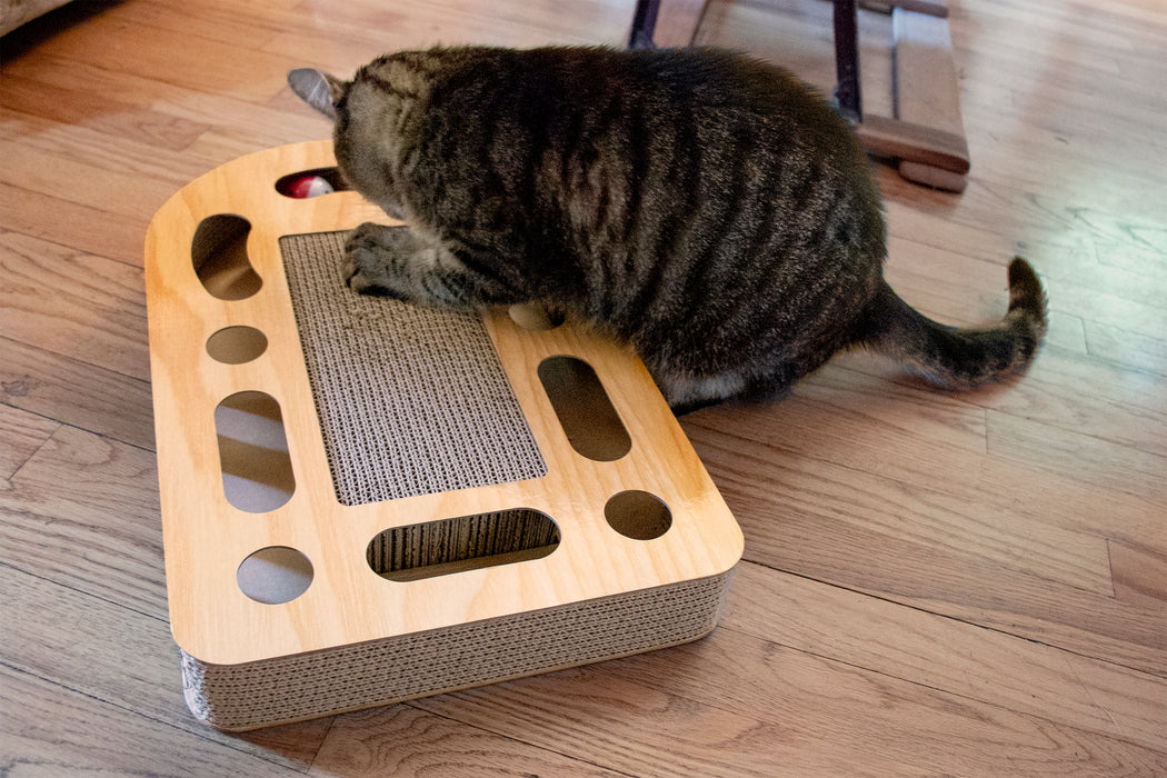 Busy Box Corrugated Cat Scratcher with Catnip