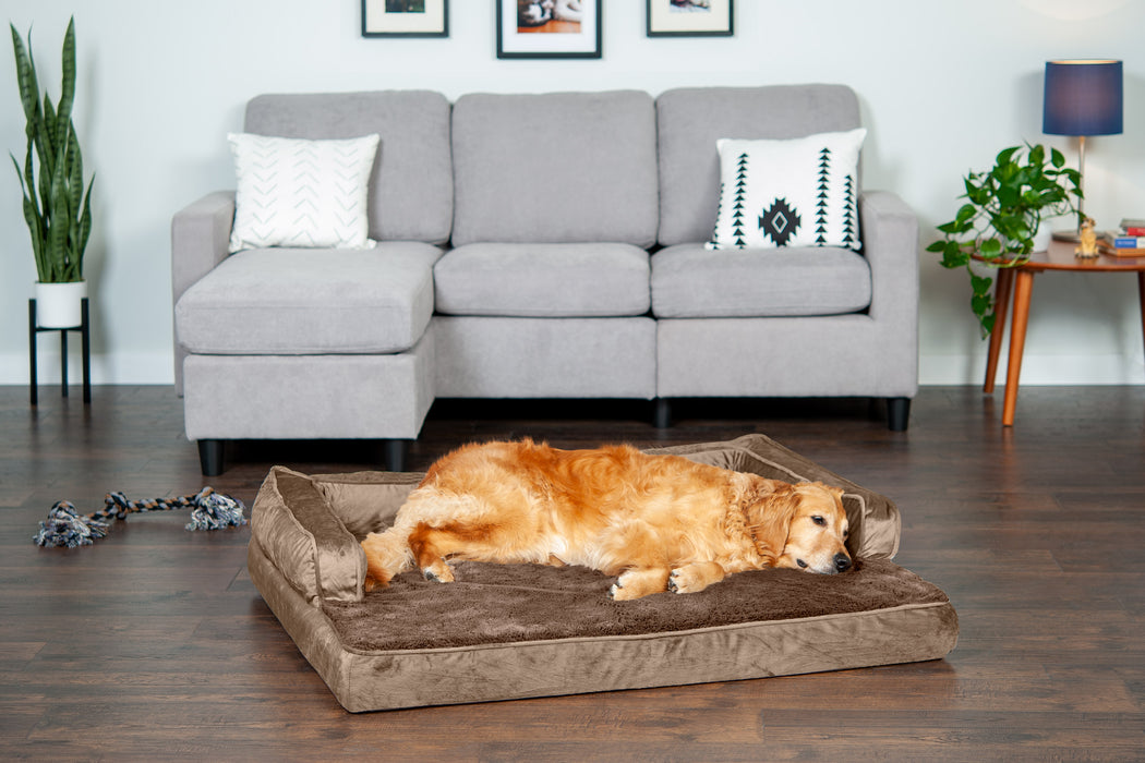 Sofa and Couch Style Pet Bed for Dogs and Cats Dog Breeding