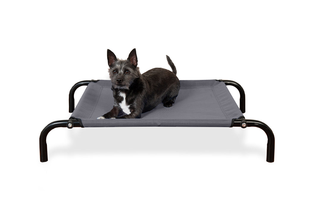 Elevated Reinforced Cot Dog Bed