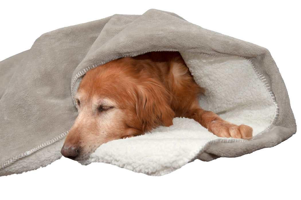 Waterproof Snuggly Warm Faux Lambswool & Terry Pet Throw Blanket
