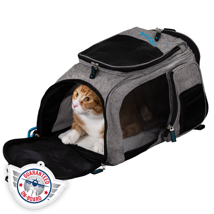 https://furhaven.com/cdn/shop/products/55523_Sherpa_2_In_1_Backpack_Pet_Carrier_MD_Grey_In_Use2_Square-gob_49e2b8c8-50cc-4d29-b160-6084e11f0839_700x700.jpg?v=1679333361