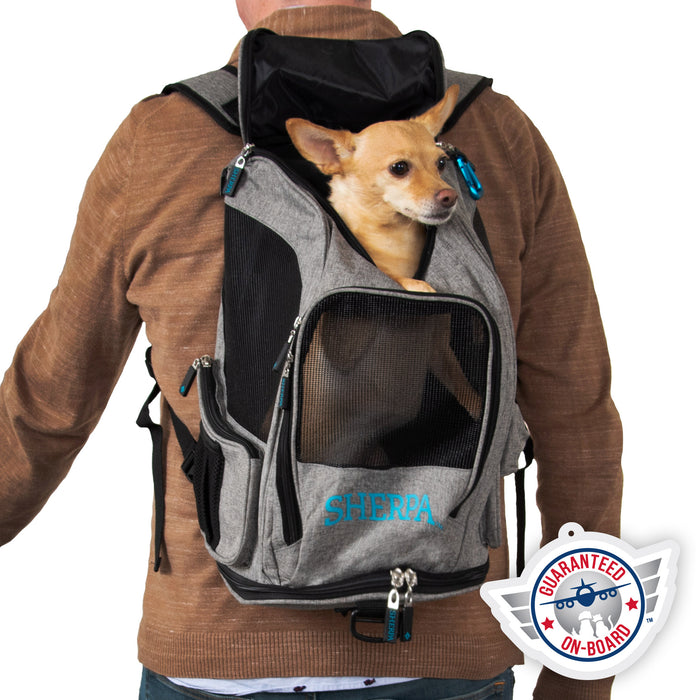 https://furhaven.com/cdn/shop/products/55523_Sherpa_2_In_1_Backpack_Pet_Carrier_MD_Grey_In_Use_Square-gob_700x700.jpg?v=1679333361