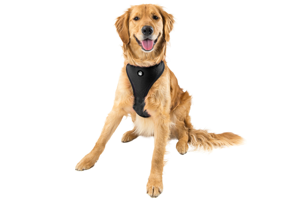 Soft & Comfy Mesh Dog Harness