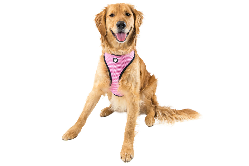 Soft & Comfy Mesh Dog Harness