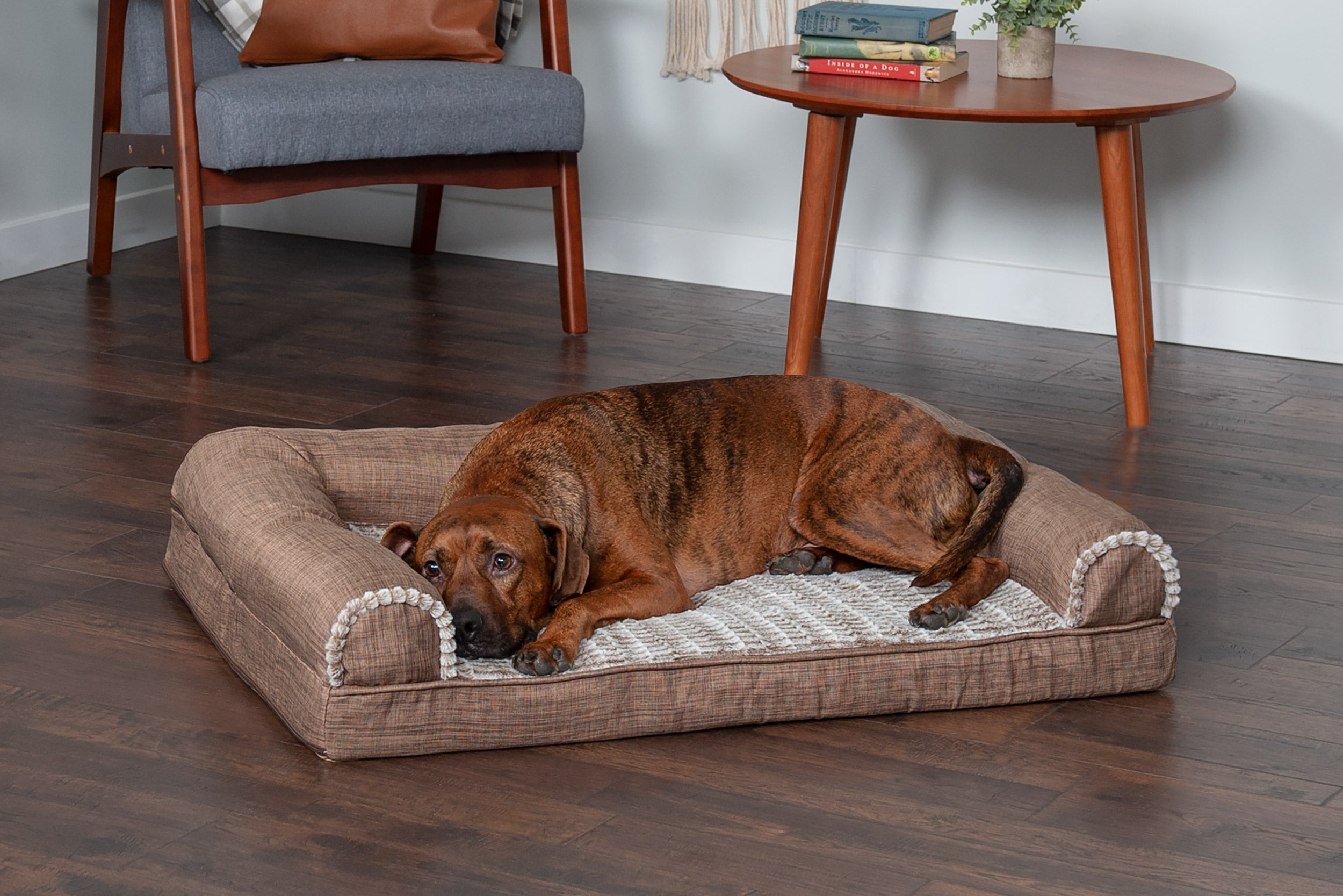 Furhaven Luxe Fur & Performance Linen Full Support Sofa Bed - Jumbo Plus,  Charcoal : Target