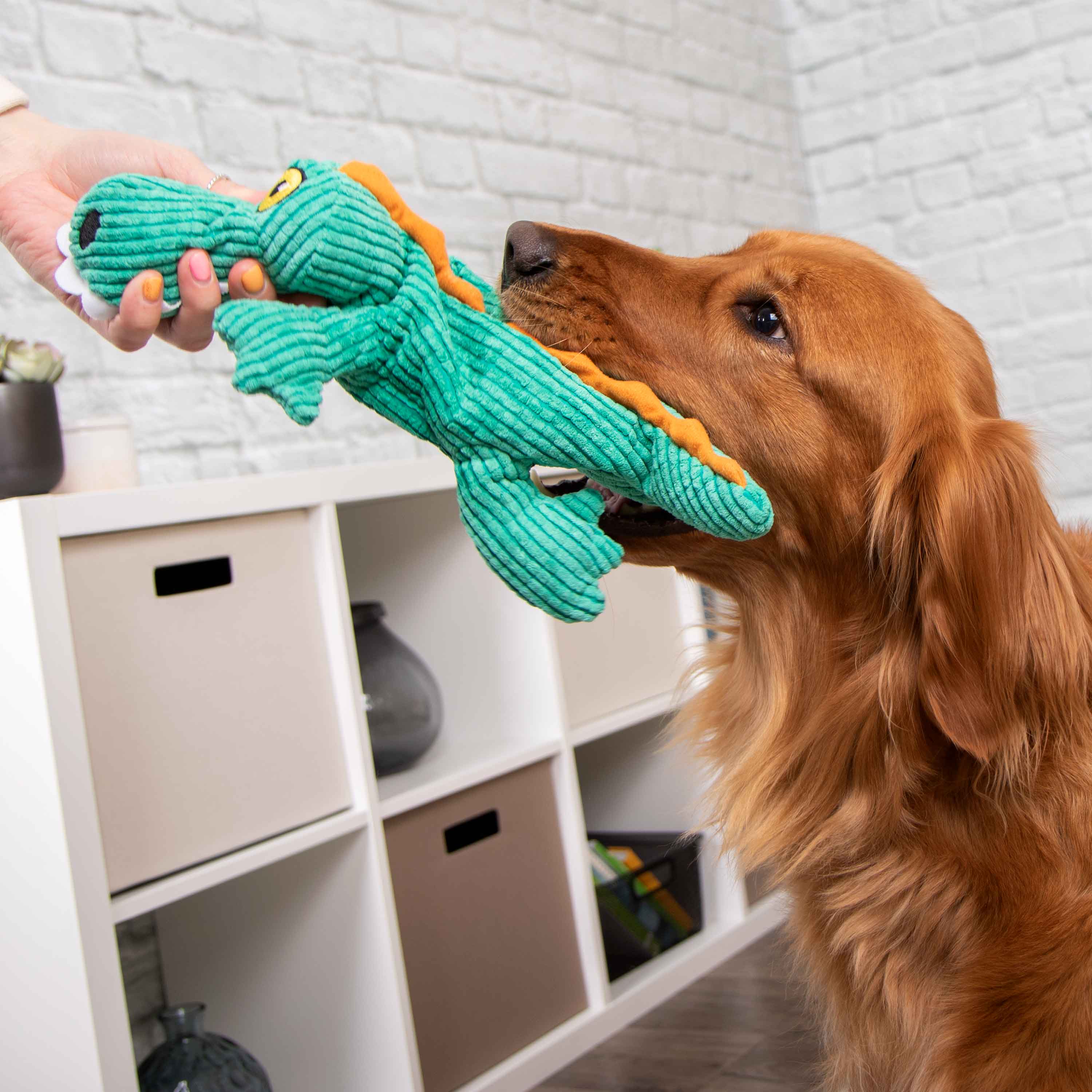 Trustypup Silent Squeak Gator Dog Toy : Target