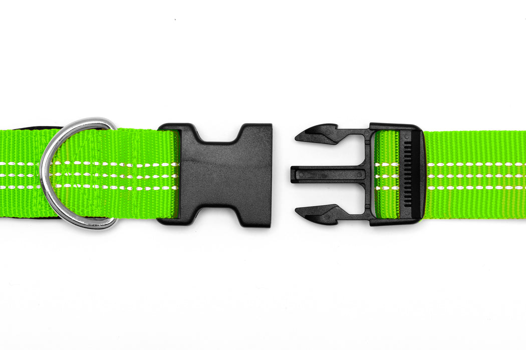 Trail Pup Hands-Free Leash