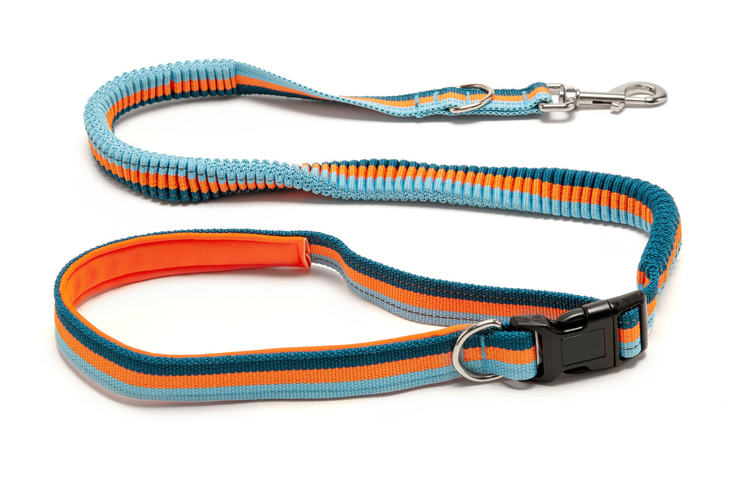 Easy-Tether Reflective Bungee Dog Leash
